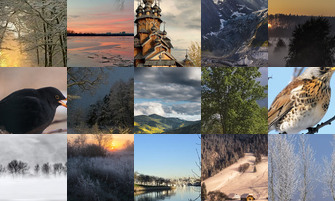 Картина дня