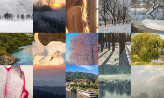 Картина дня