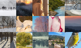 Картина дня