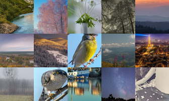 Картина дня