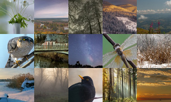 Картина дня