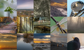 Картина дня