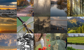 Картина дня