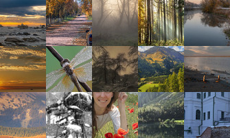 Картина дня