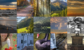 Картина дня