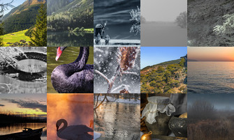 Картина дня