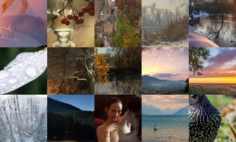 Картина дня