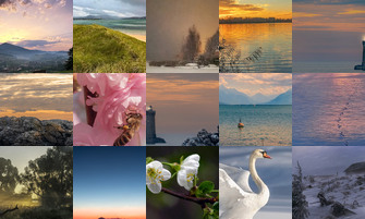 Картина дня