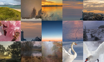 Картина дня