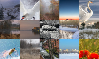 Картина дня