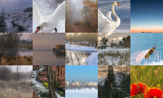 Картина дня