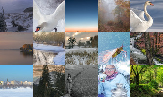 Картина дня