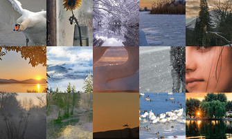 Картина дня