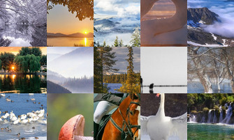 Картина дня