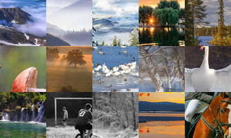 Картина дня