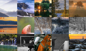 Картина дня