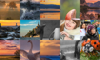 Картина дня