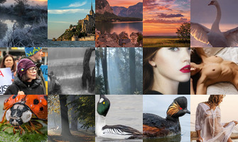 Картина дня