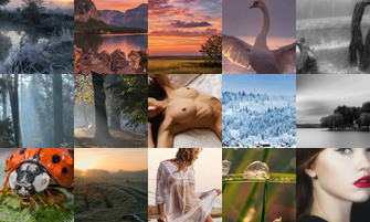 Картина дня