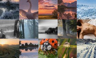 Картина дня