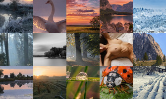 Картина дня