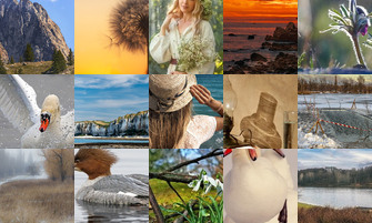 Картина дня