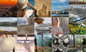 Картина дня