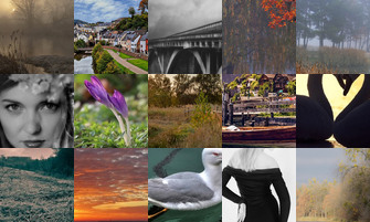 Картина дня