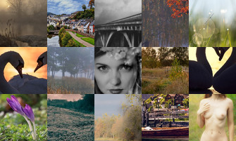 Картина дня