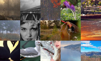 Картина дня