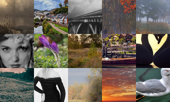 Картина дня