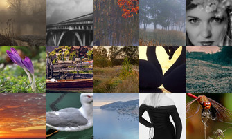 Картина дня