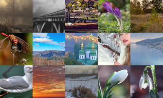 Картина дня