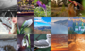 Картина дня