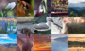 Картина дня