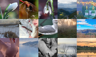 Картина дня