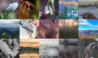 Картина дня