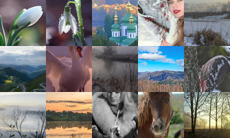 Картина дня