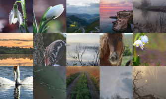 Картина дня