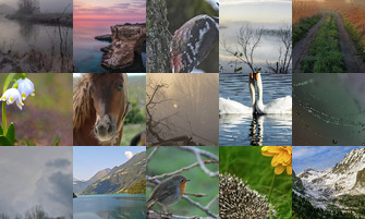 Картина дня