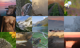 Картина дня