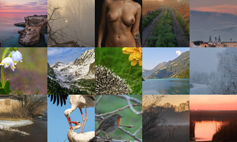 Картина дня