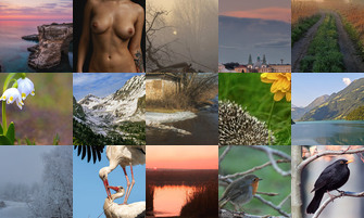 Картина дня