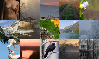 Картина дня