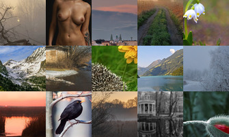 Картина дня