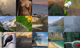 Картина дня