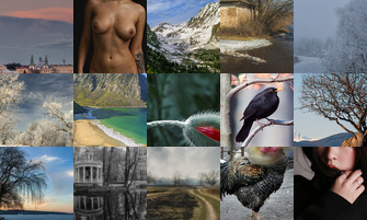 Картина дня