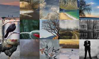 Картина дня