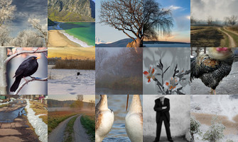 Картина дня