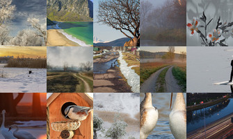 Картина дня